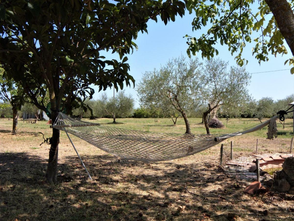 Podere San Guglielmo Casa de hóspedes Sarteano Exterior foto