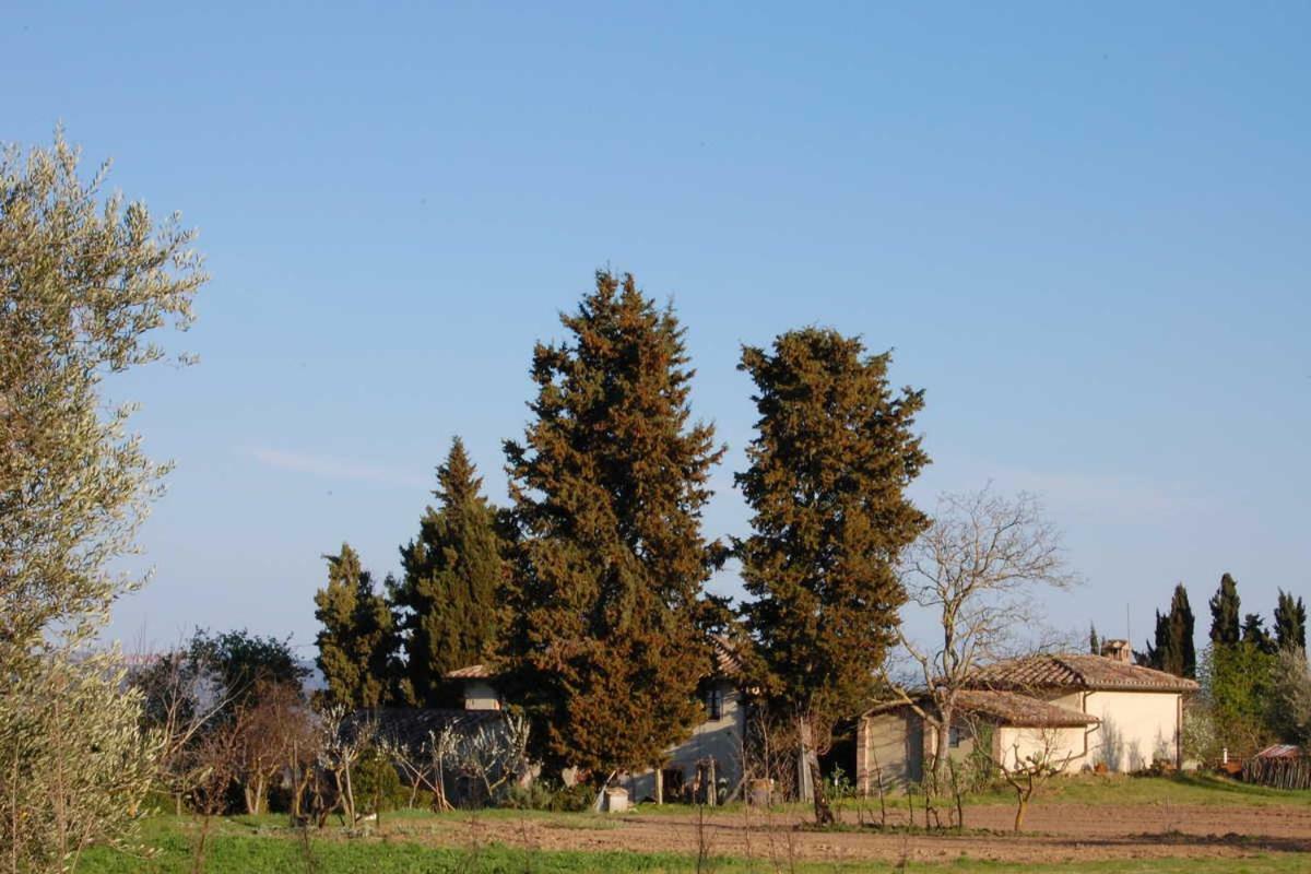 Podere San Guglielmo Casa de hóspedes Sarteano Exterior foto