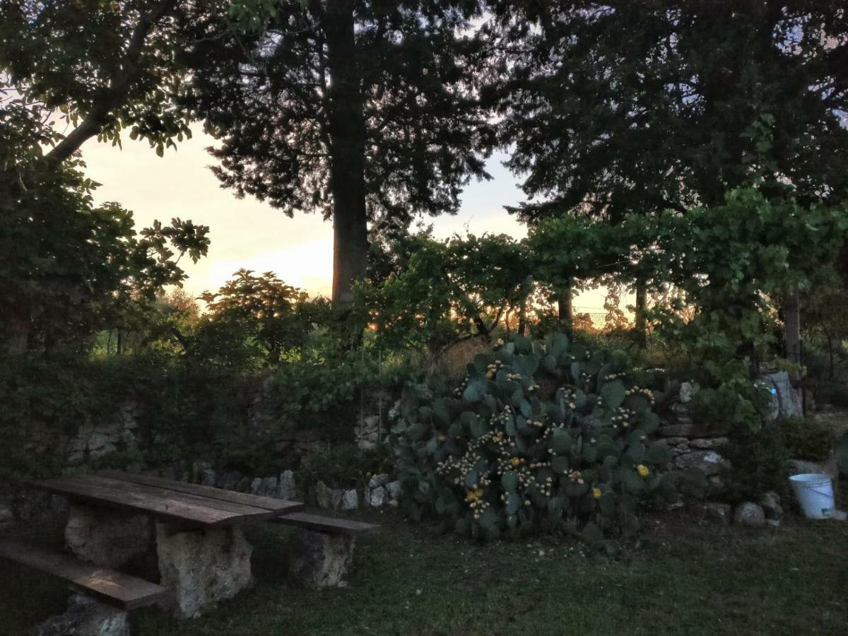 Podere San Guglielmo Casa de hóspedes Sarteano Exterior foto